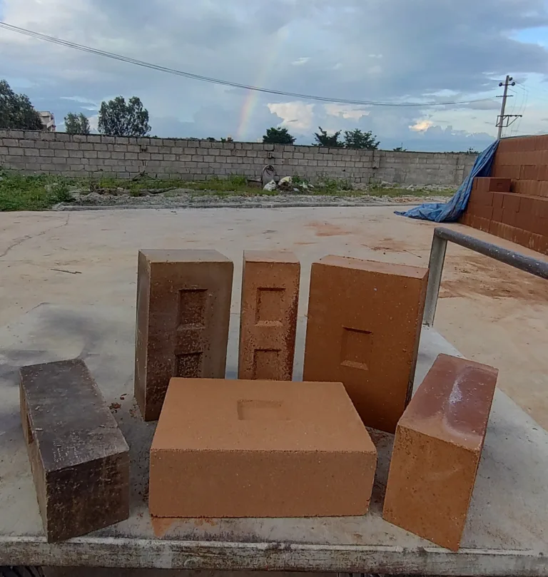 IMG 20211104 171216334 HDR 768x809